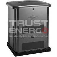 Газовый генератор Briggs & Stratton G80